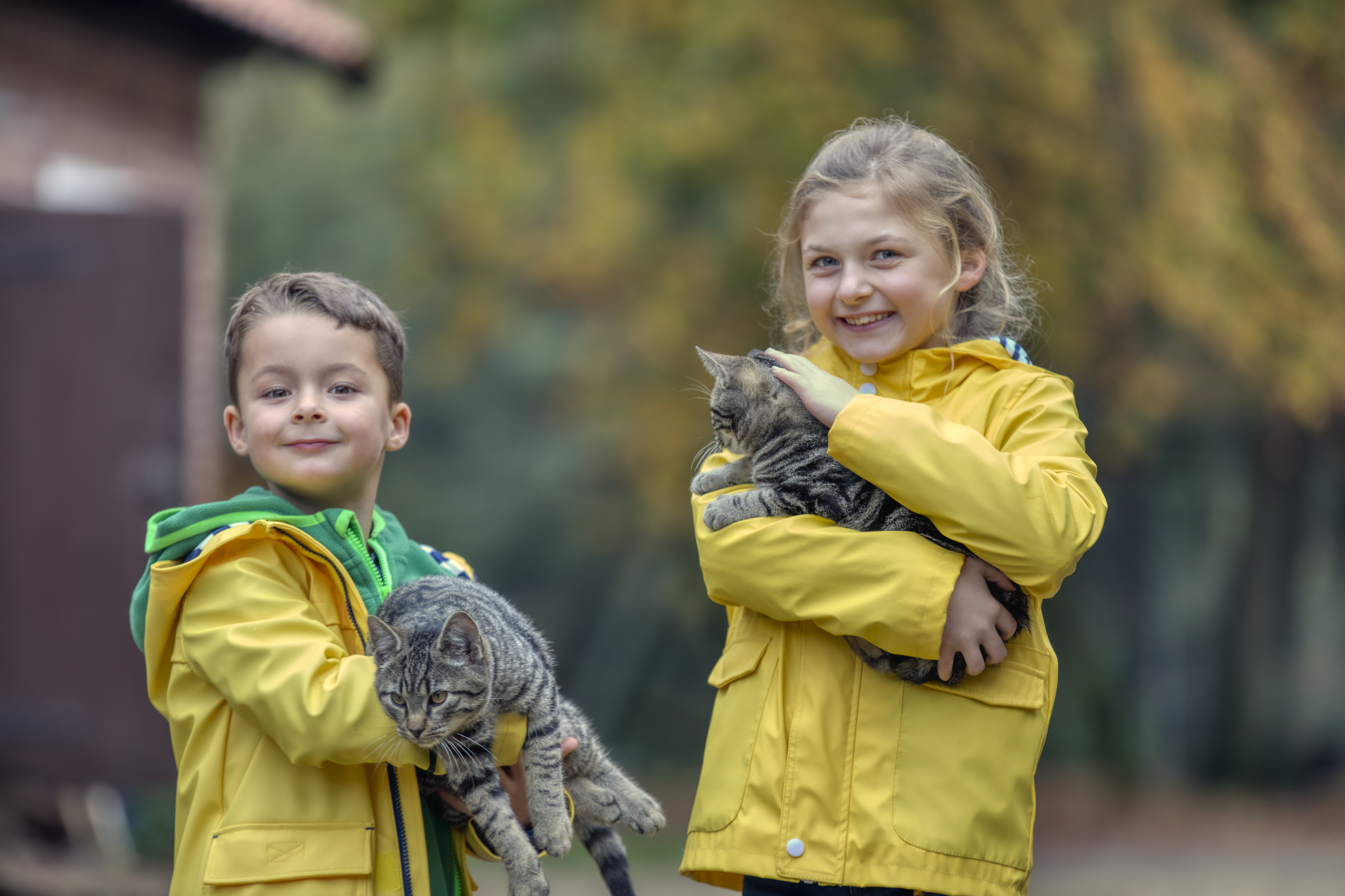 Kleiner Junge und kleines Mädchen mit Katzen auf dem Arm lächeln in die Kamera
